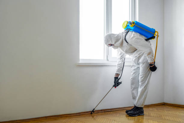 Best Affordable Pest Control Services  in Denmark, SC