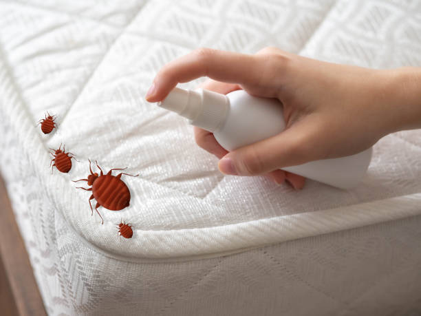 Pest Control Cost in Denmark, SC